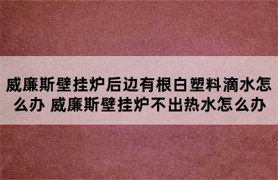 威廉斯壁挂炉后边有根白塑料滴水怎么办 威廉斯壁挂炉不出热水怎么办